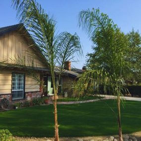   Taishan Luxury-40 természetes hatású műfű (Legkeresettebb Termékünk)